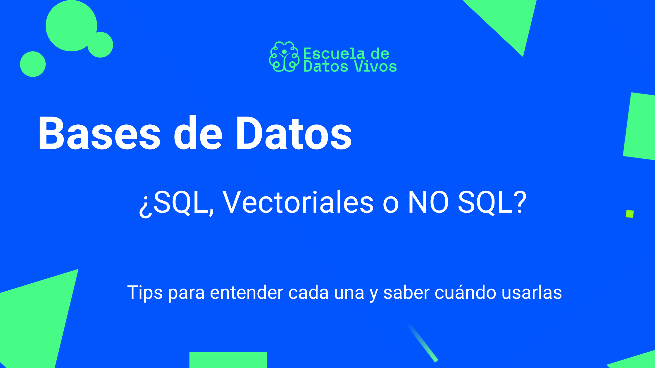 Bases de Datos: SQL, Vectorial o NoSQL, ¿Cuál elijo para mi proyecto?
